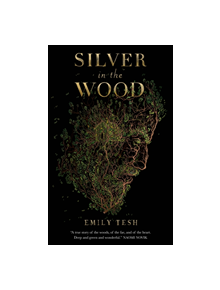 Silver in the Wood - 9781250229793