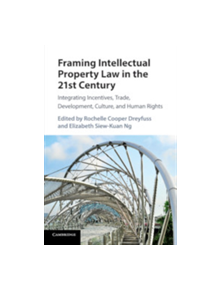 Framing Intellectual Property Law in the 21st Century - 9781316501160