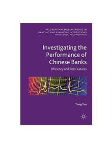 Investigating the Performance of Chinese Banks: Efficiency and Risk Features - 9781349697113