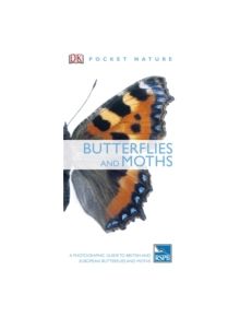 Butterflies and Moths - 9781405349956