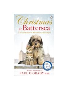 Christmas at Battersea: True Stories of Miracles and Hope - 9781405919708