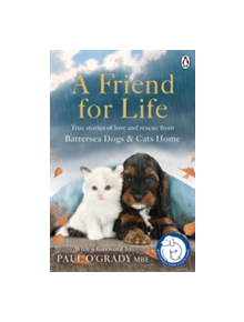 A Friend for Life - 9781405925594