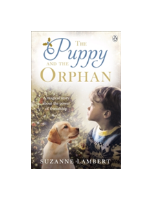 The Puppy and the Orphan - 9781405932486