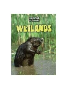 Wetlands - 9781406239980