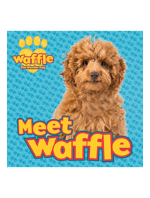 Meet Waffle! - 9781407198293