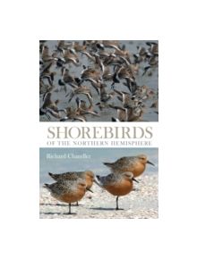 Shorebirds of the Northern Hemisphere - 9781408107904