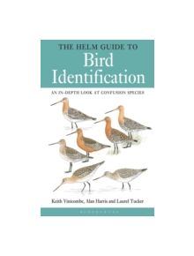 The Helm Guide to Bird Identification - 9781408130353