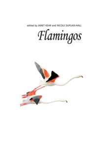 Flamingos - 9781408137505