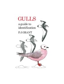 Gulls: A Guide to Identification - 9781408138311