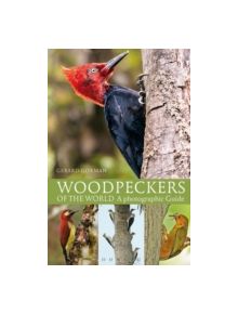 Woodpeckers of the World - 9781408147153