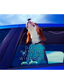 Dogs Hanging Out Of Windows - 9781409150121