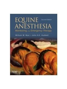 Equine Anesthesia - 9781416023265