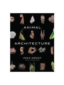 Animal Architecture - 9781419711657