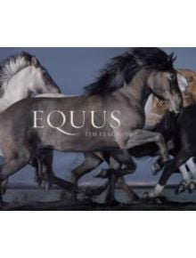 Equus (Mini) - 9781419716683