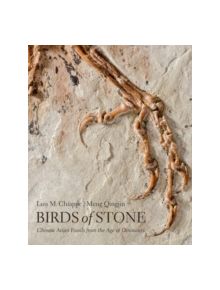 Birds of Stone - 9781421420240