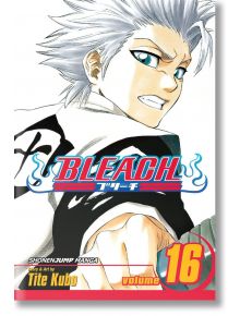 Bleach, Vol. 16