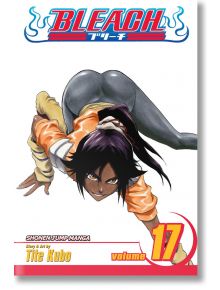 Bleach, Vol. 17