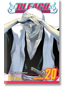 Bleach, Vol. 20