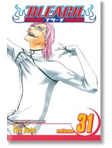 Bleach, Vol. 31