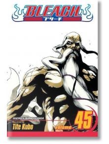 Bleach, Vol. 45