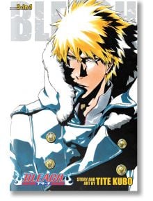 Bleach (3-in-1 Edition), Vol. 17