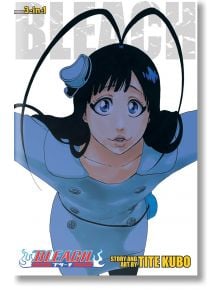 Bleach (3-in-1 Edition), Vol. 22 - Tite Kubo - Viz Media - 9781421596044