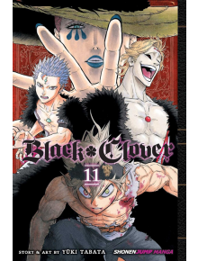 Black Clover, Vol. 11