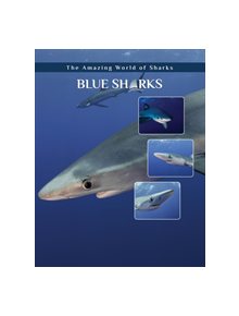 Blue Sharks - 9781422241226