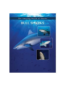 Bull Sharks - 9781422241233