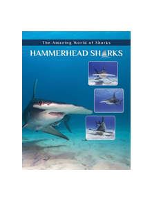 Hammerhead Sharks - 9781422241271