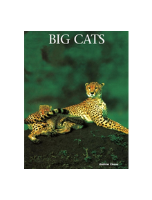 Big Cats - 9781422241677