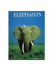 Elephants - 9781422241691