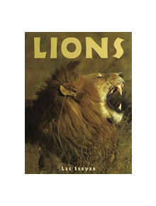 Lions - 9781422241714