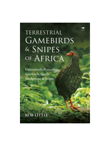 Terrestrial gamebirds & snipes of Africa - 9781431424146