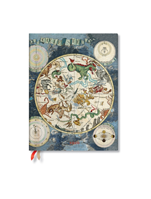 Celestial Planisphere Ultra Vertical 2020 Diary - 9781439763605