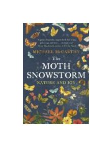 The Moth Snowstorm - 9781444792799