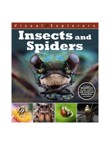 Visual Explorers: Insects and Spiders - 9781445168197