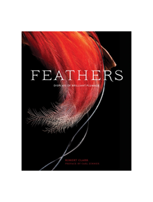 Feathers - 9781452139890