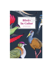 Birds in Color 50 Postcards - 9781452171876