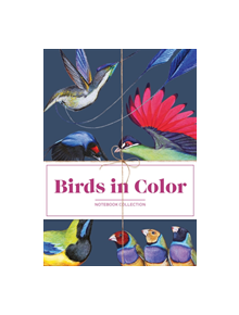 Birds in Color Notebooks - 9781452171883