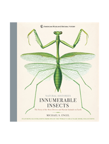 Innumerable Insects - 9781454923237