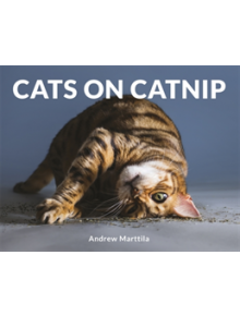 Cats on Catnip - 9781472142672