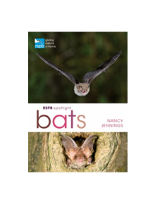 RSPB Spotlight Bats - 9781472950055