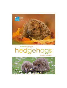 RSPB Spotlight Hedgehogs - 9781472950086