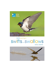 RSPB Spotlight Swifts and Swallows - 9781472950116