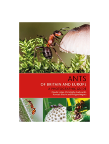 Ants of Britain and Europe - 9781472954084