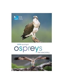 RSPB Spotlight Ospreys - 9781472956033