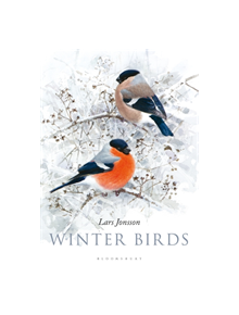 Winter Birds - 9781472962010