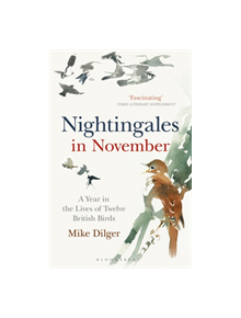 Nightingales in November - 9781472962423