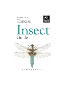 Concise Insect Guide - 9781472963765